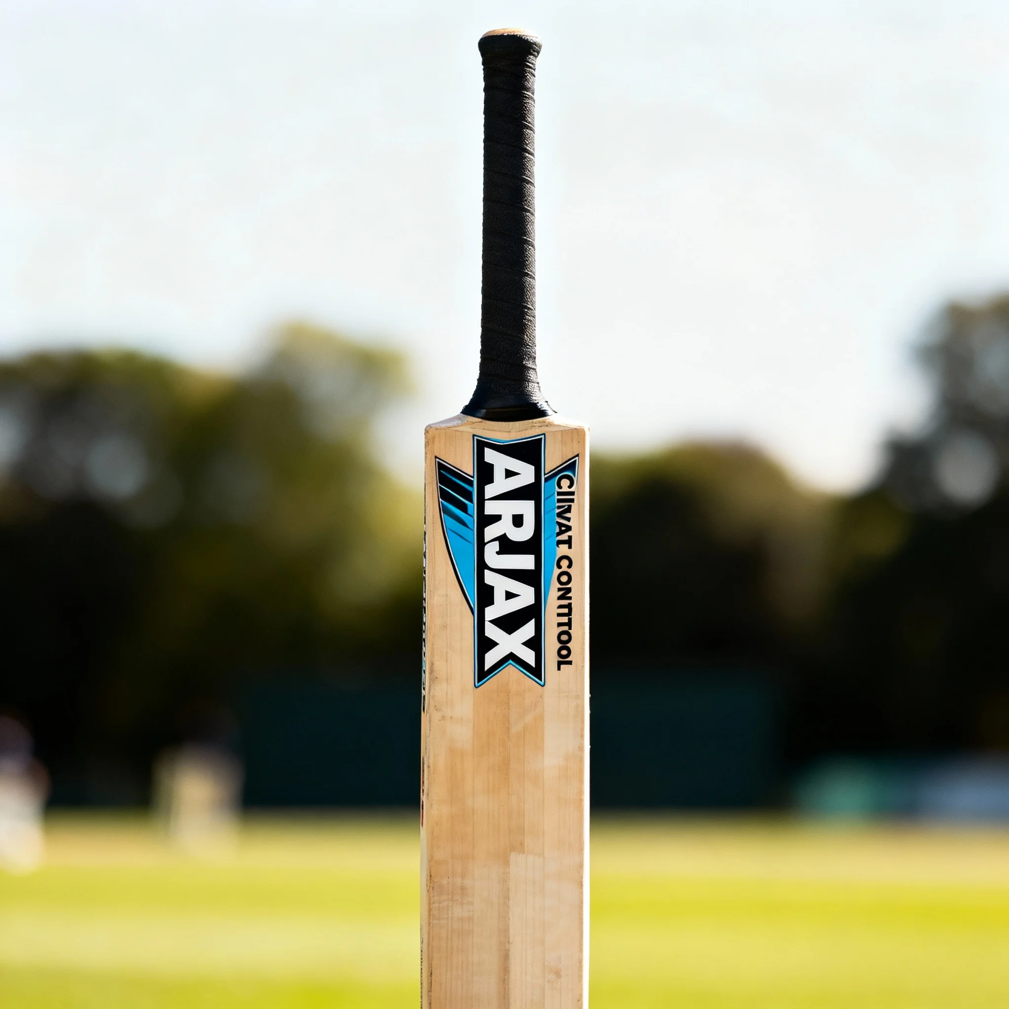 Climate Control Cricket Bat
